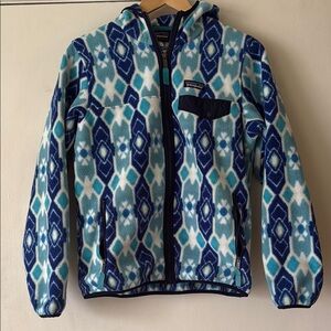 Patagonia Hooded Synchilla Full Zip Fleece Jacket